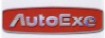 Auto Exe